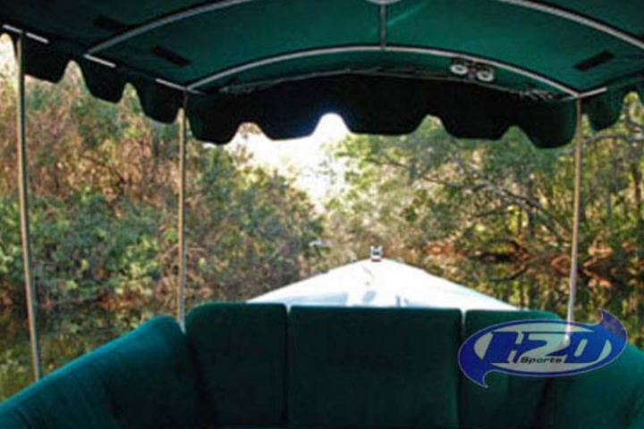 a person with a green umbrella